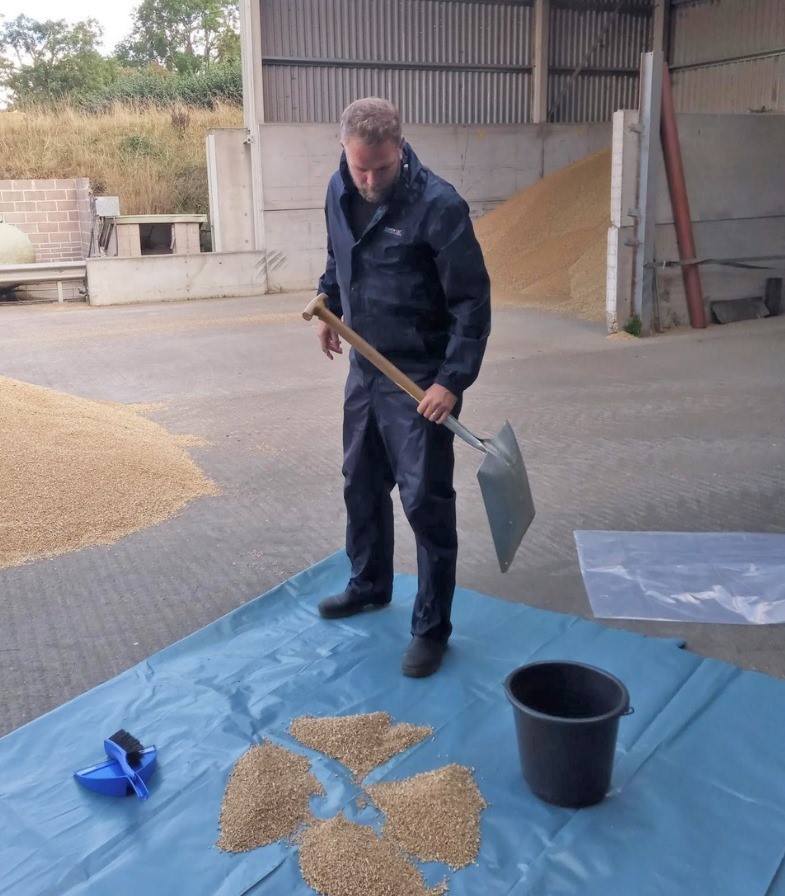 Trading Standards officer Matt sampling animal feed. He is standing on a plastic sheet holding a shovel. On the sheet is animal feed which has been divided into four piles. In the background is a barn filled with a large pile of animal feed.